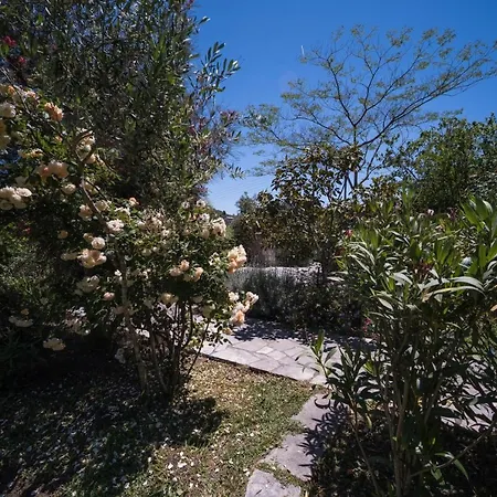 Vakantiehuis Riza Stone Cottage, Romantic House, Pet Friendly *
