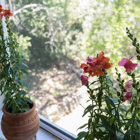 Riza Stone Cottage, Romantic House, Pet Friendly Vakantiehuis *