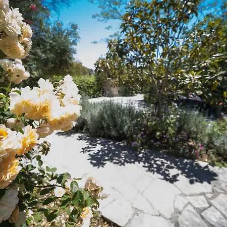 Riza Stone Cottage, Romantic House, Pet Friendly Vakantiehuis *