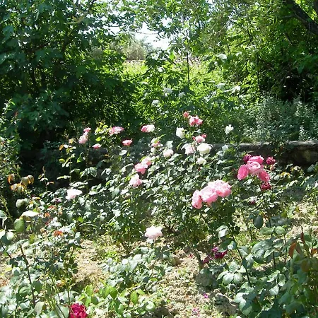 Riza Stone Cottage, Romantic House, Pet Friendly Casa de Férias *