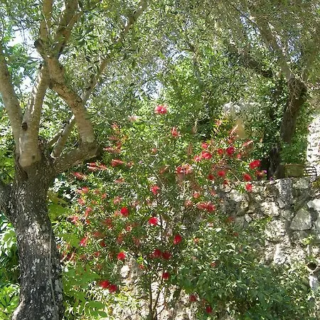 Tatil Evi Riza Stone Cottage, Romantic House, Pet Friendly Vátos