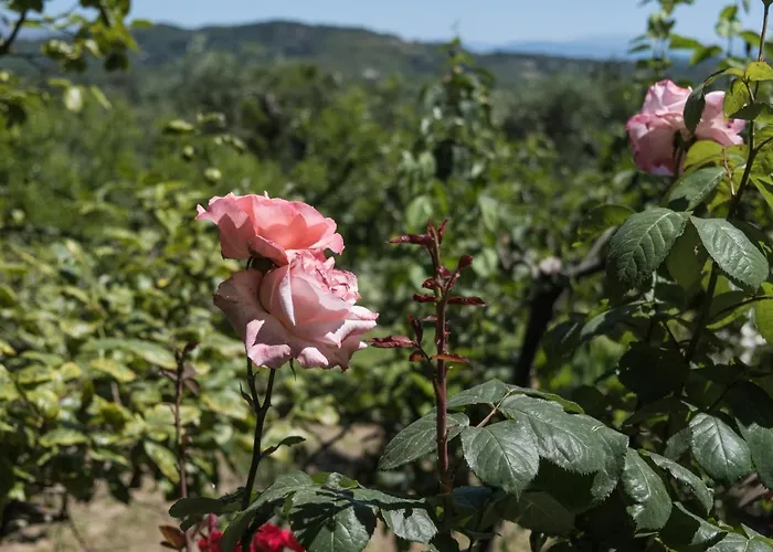 度假居 Riza Stone Cottage, Romantic House, Pet Friendly Vátos