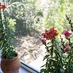 Riza Stone Cottage, Romantic House, Pet Friendly Hébergement de vacances *