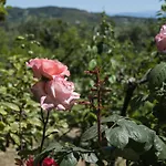 펜션 Riza Stone Cottage, Romantic House, Pet Friendly Vátos