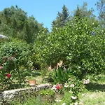 Riza Stone Cottage, Romantic House, Pet Friendly Hébergement de vacances *