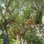 Hébergement de vacances Riza Stone Cottage, Romantic House, Pet Friendly Vátos