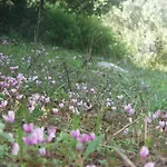 Riza Stone Cottage, Romantic House, Pet Friendly * Vátos