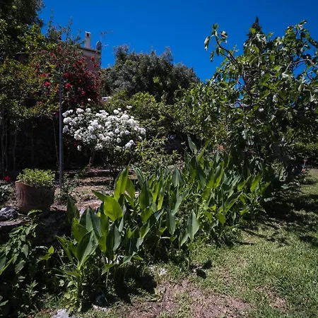 Riza Stone Cottage, Romantic House, Pet Friendly Casa de Férias