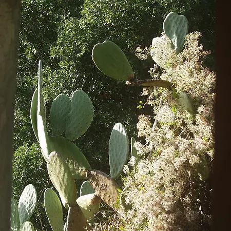 Riza Stone Cottage, Romantic House, Pet Friendly