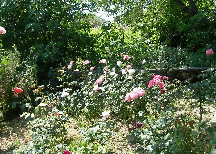 Riza Stone Cottage, Romantic House, Pet Friendly Ferienhaus *